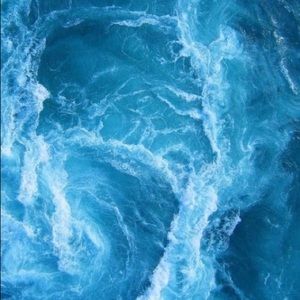 Meet your Posher, Dakota